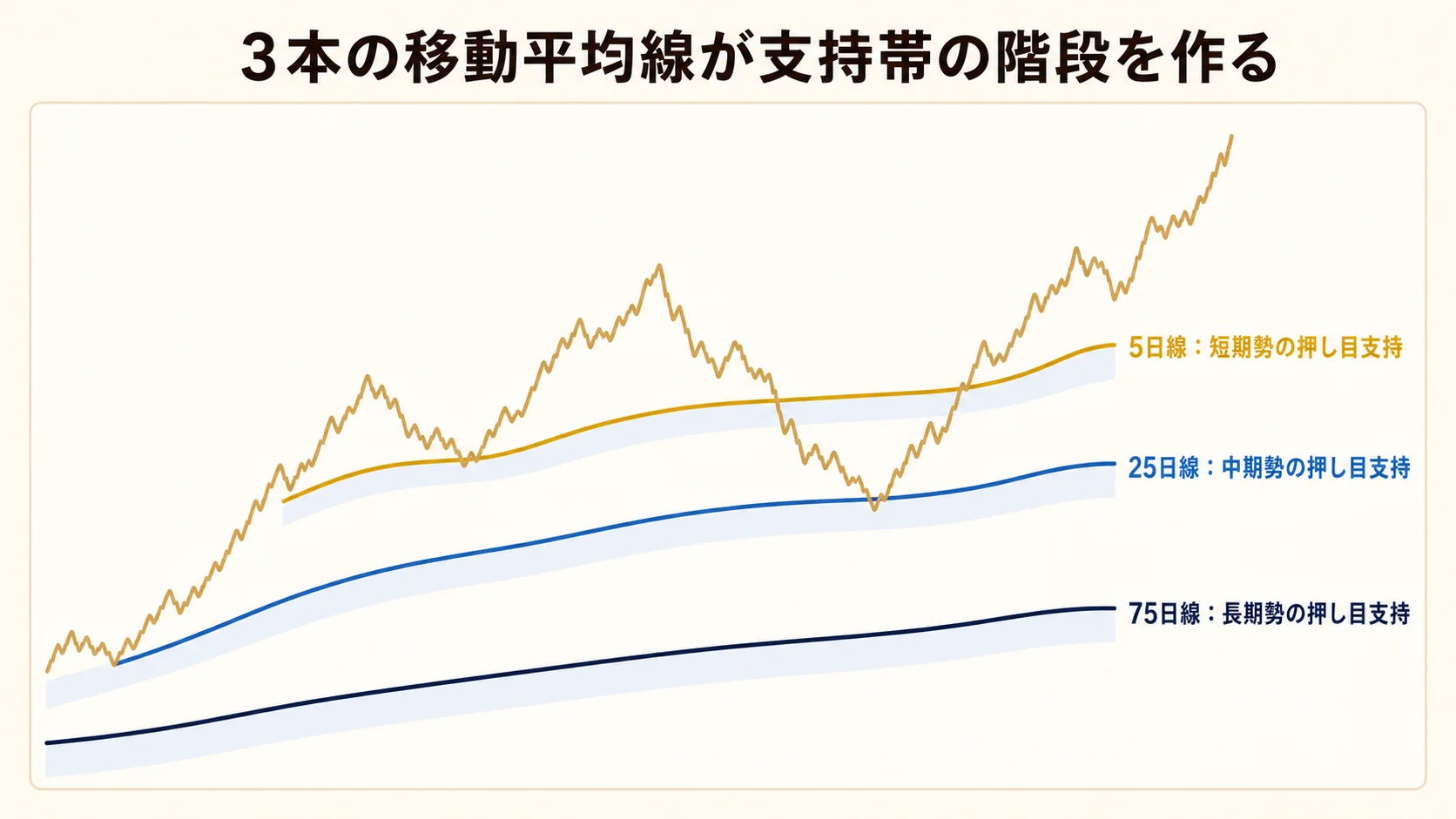 PO の支持帯が階段状になる構造